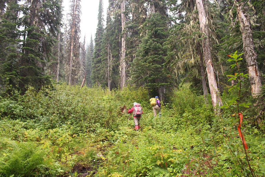 I guess the flagging snobs haven't gotten to this trail yet!