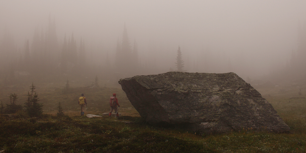 It's easy to get lost in this soup!