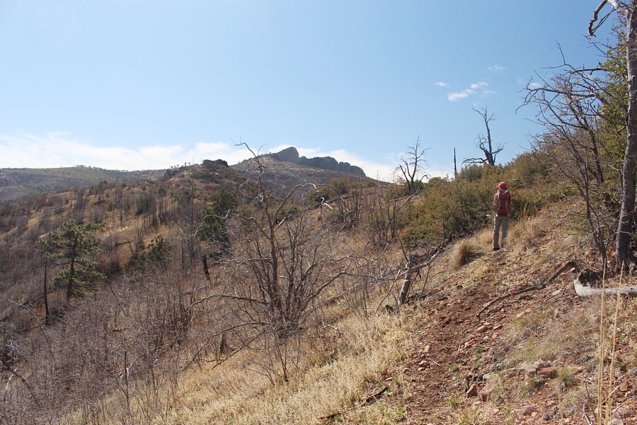 Doesn't look so bad from here...