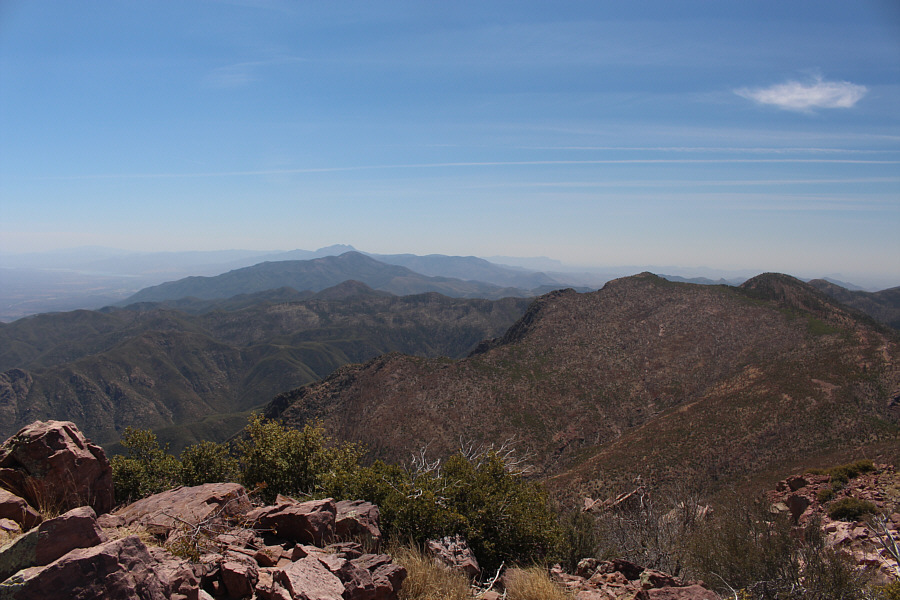 It's amazing what you can see from up here!