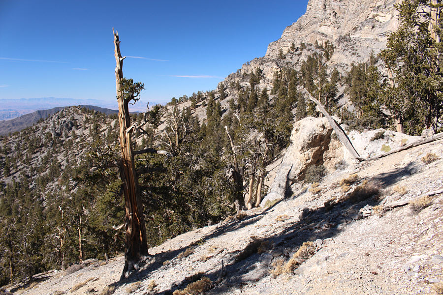 An important junction--try not to miss it!