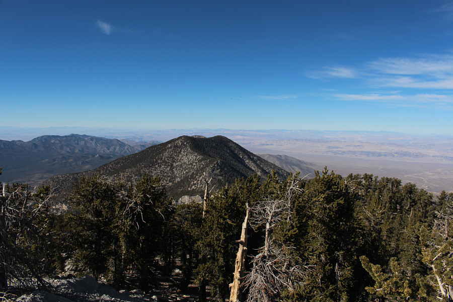 Now I have the theme from "Bonanza" running through my head!