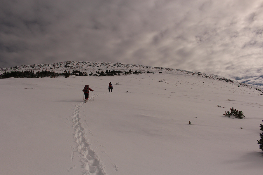 This slope would make for some nice easy skiing!
