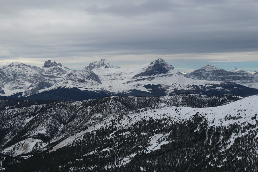 One of these days, I would like to take a closer look at The Elevators.