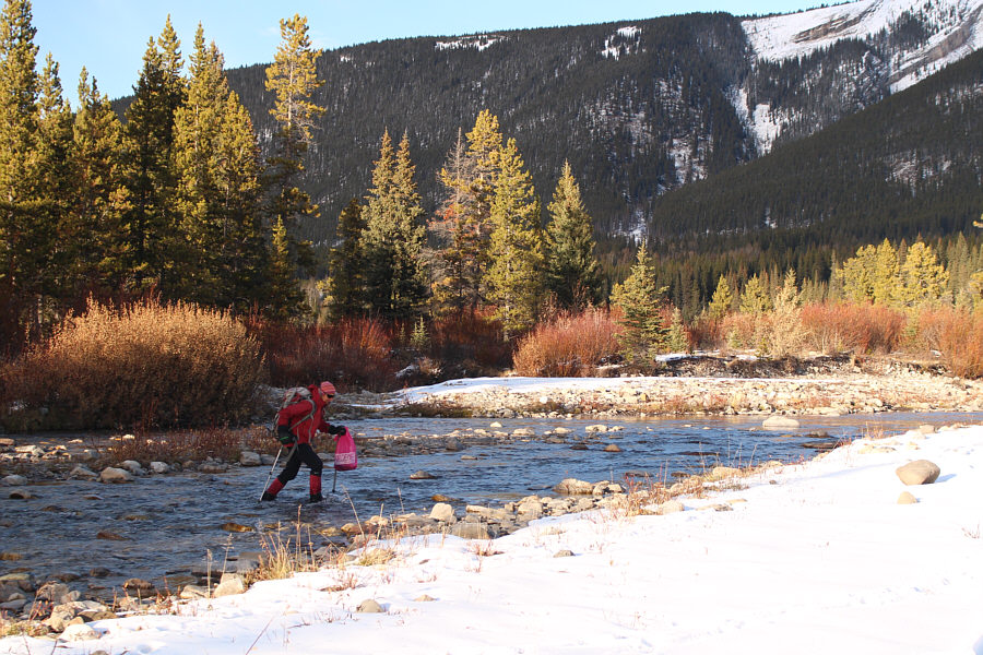 Looks like she just came back from shopping!
