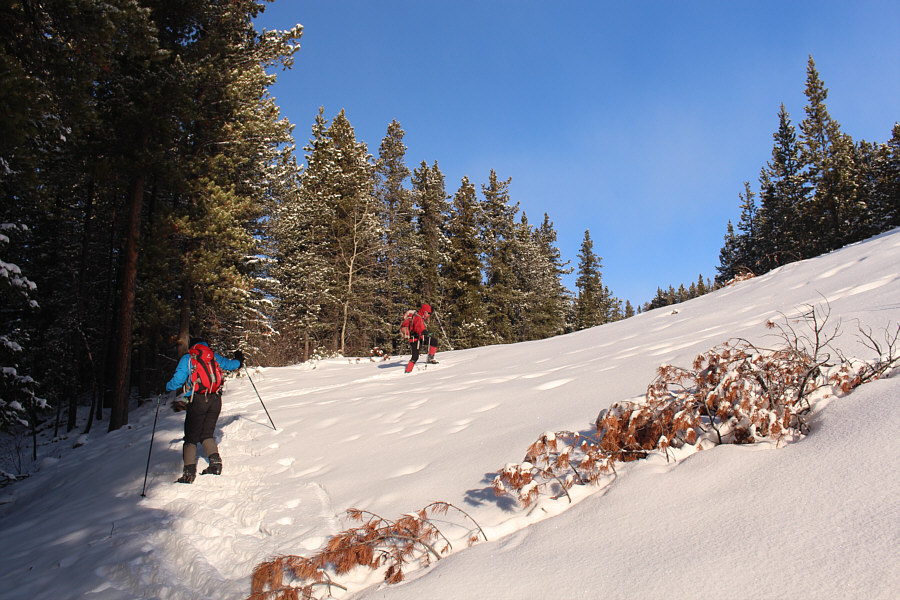 You could almost do turns down this slope!