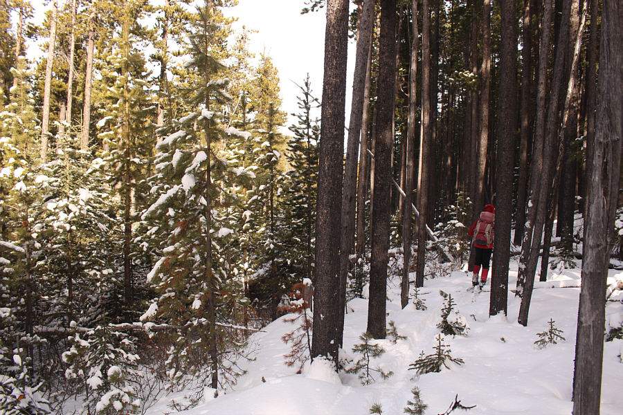 How "delectable"...NOT!