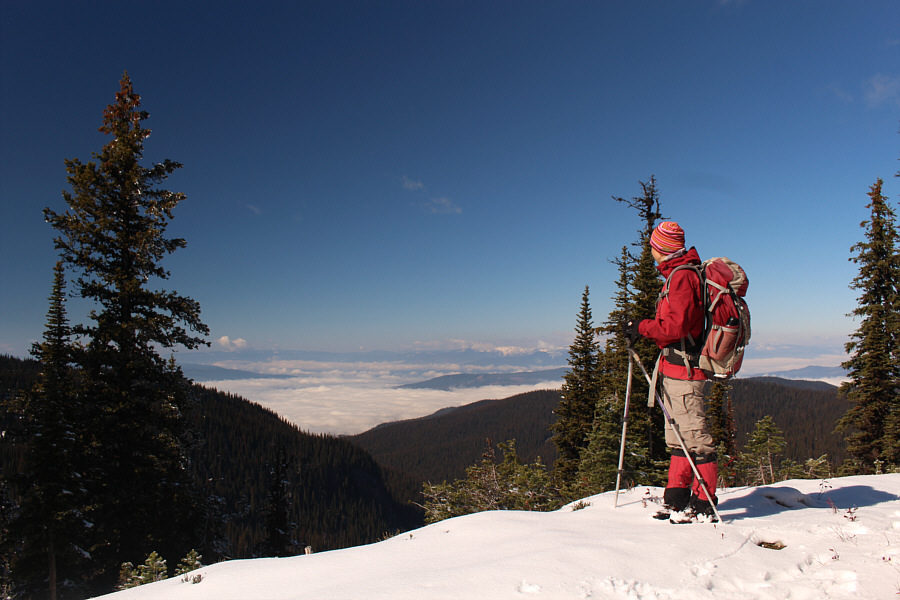 It's better than looking at tree trunks!