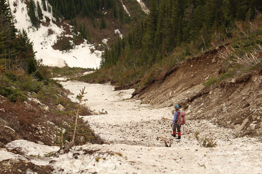 I did try in a few spots with mixed results.