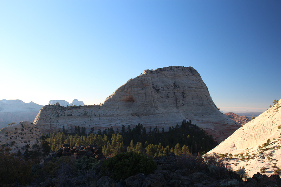 Looks like a big shark fin!