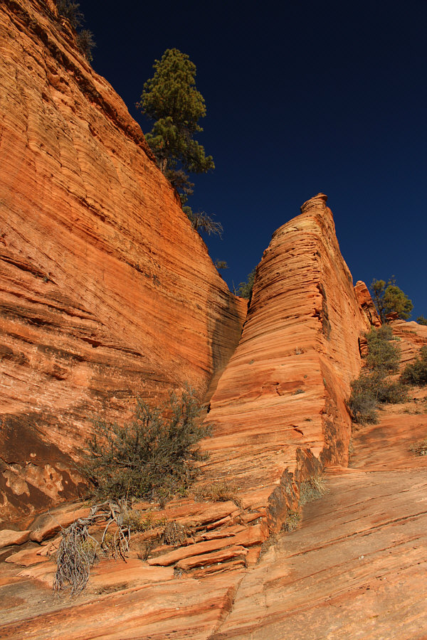 Might be easier to the right...