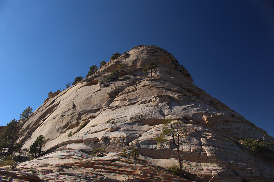 I could climb this, but I would not be able to get down safely without a rope.