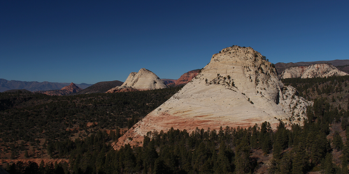 I guess we're switching to Plan C now!