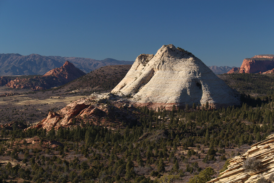 Unfortunately, both are NOT scrambles!