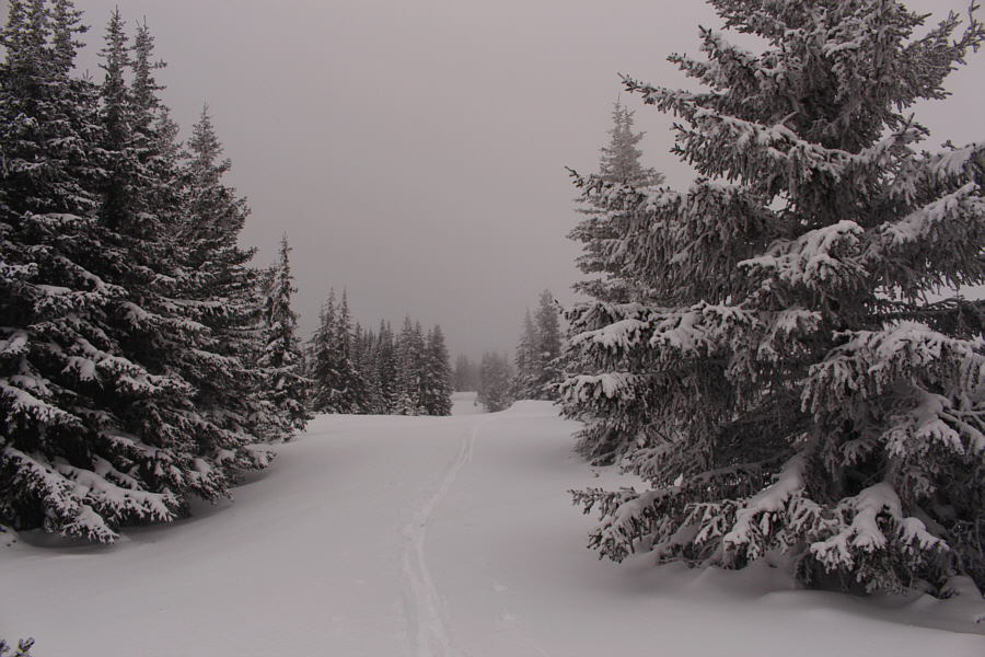 Not the best of days to be up here...