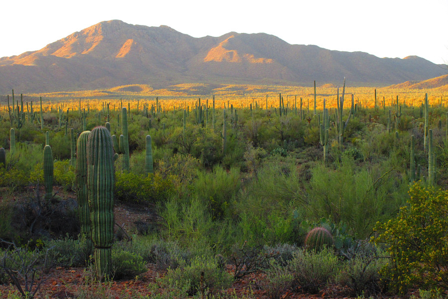 Here comes the sun...and the heat!