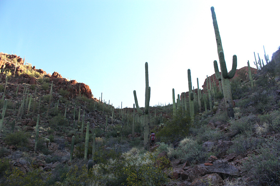 Not that surprising to find a trail...this is the USA after all!