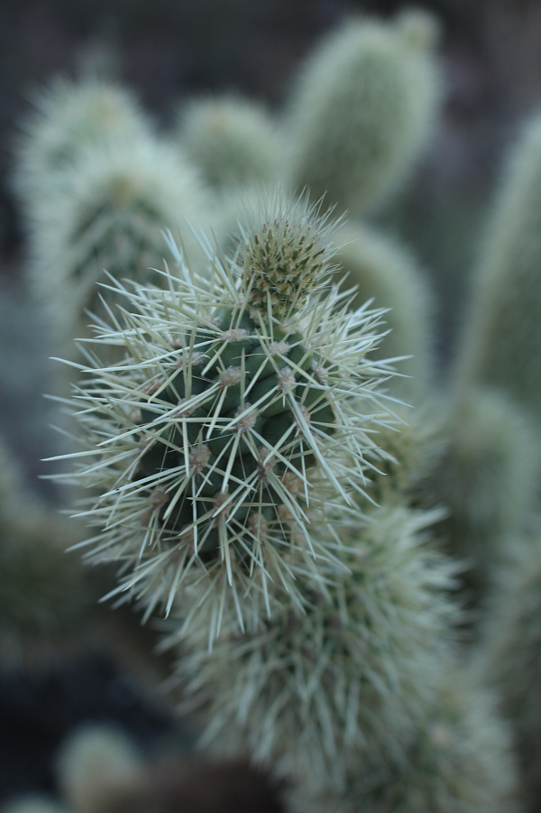 This is one nasty mother-f**ker!