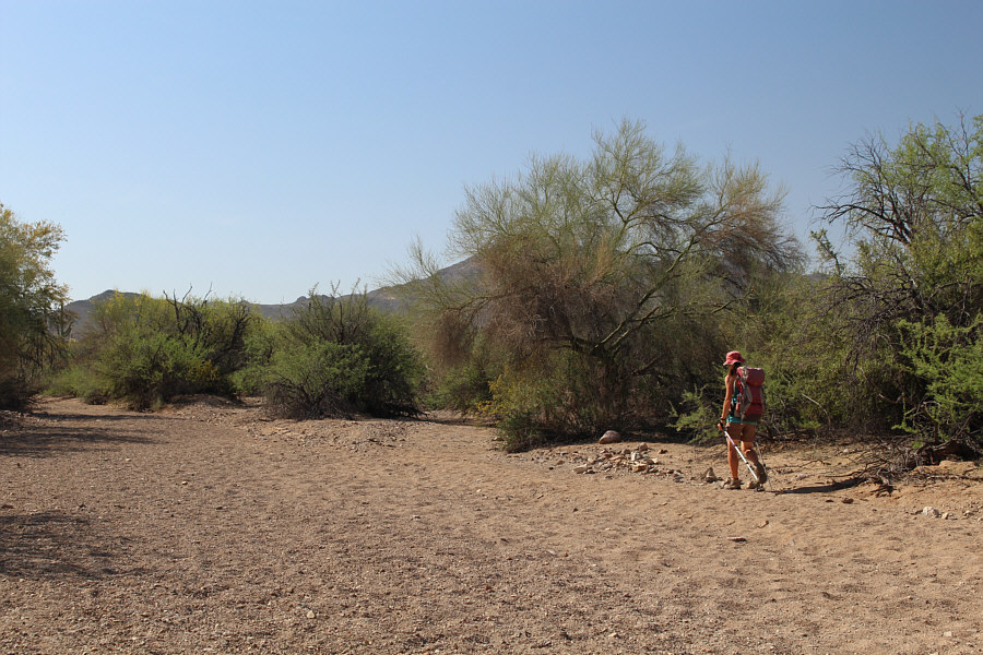 Be careful trying to stay near the shady trees and bushes--they're nasty to touch as well!