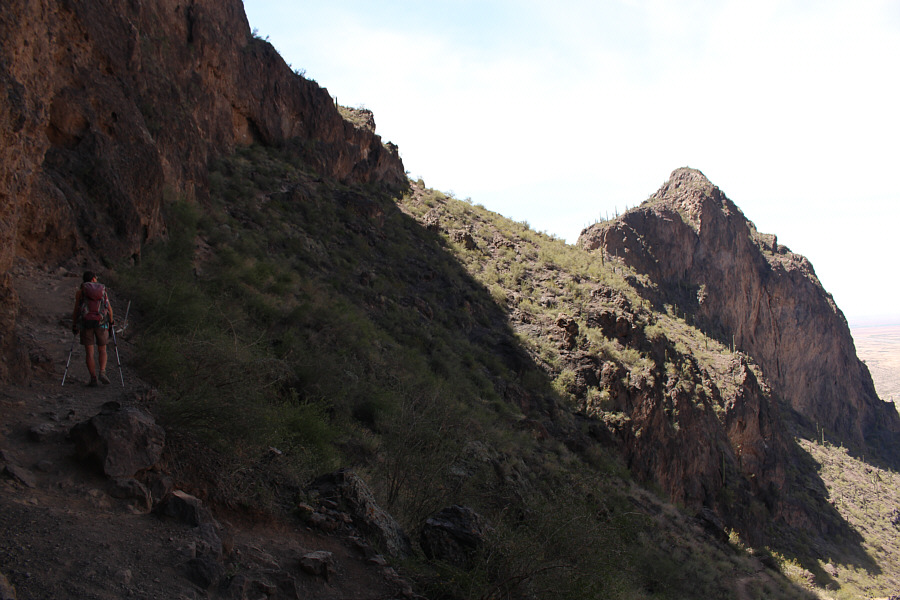 This will be the last bit of shade until just below the summit...