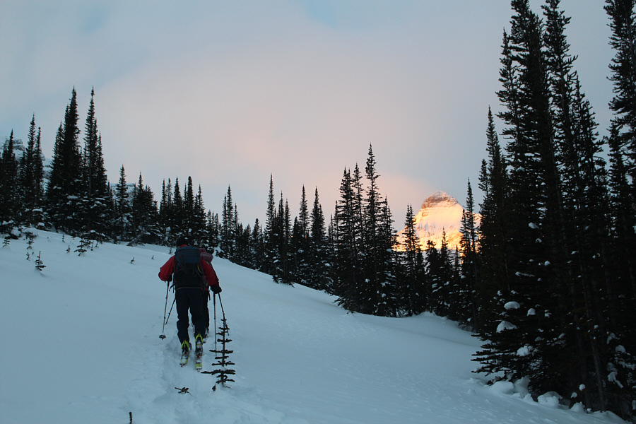 Getting views already!