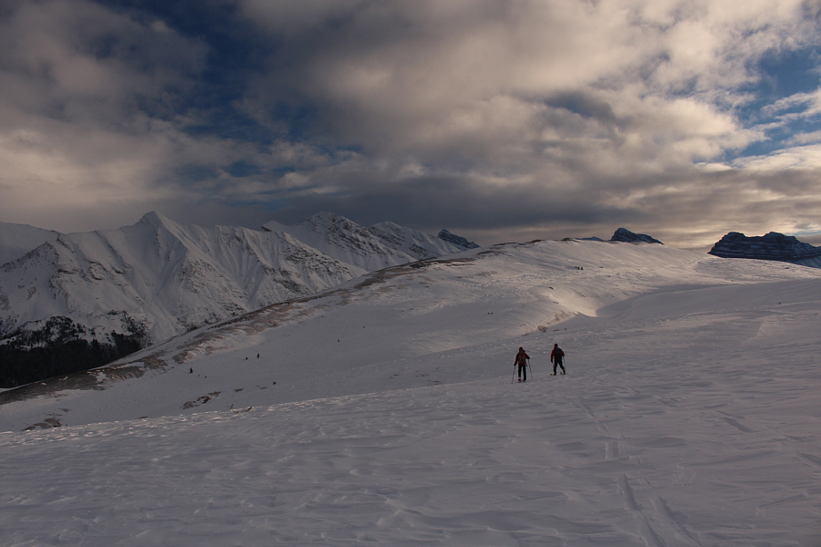 Okay, let's go for it!