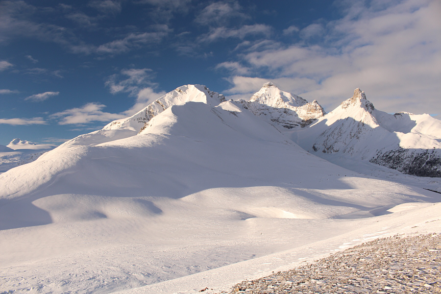 Someday, I hope to climb Mount Athabaska!