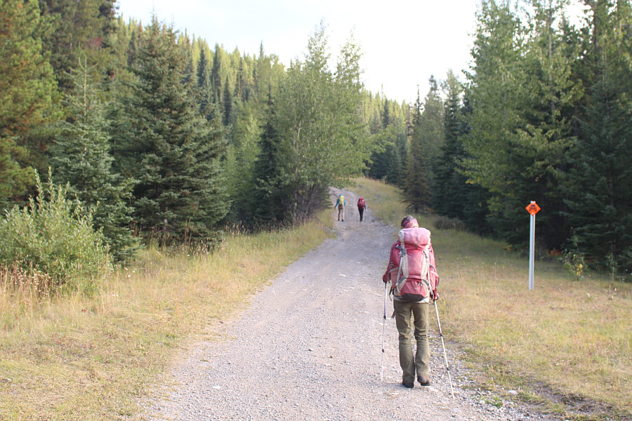 Keep an eye out for ATVs that frequent this road.
