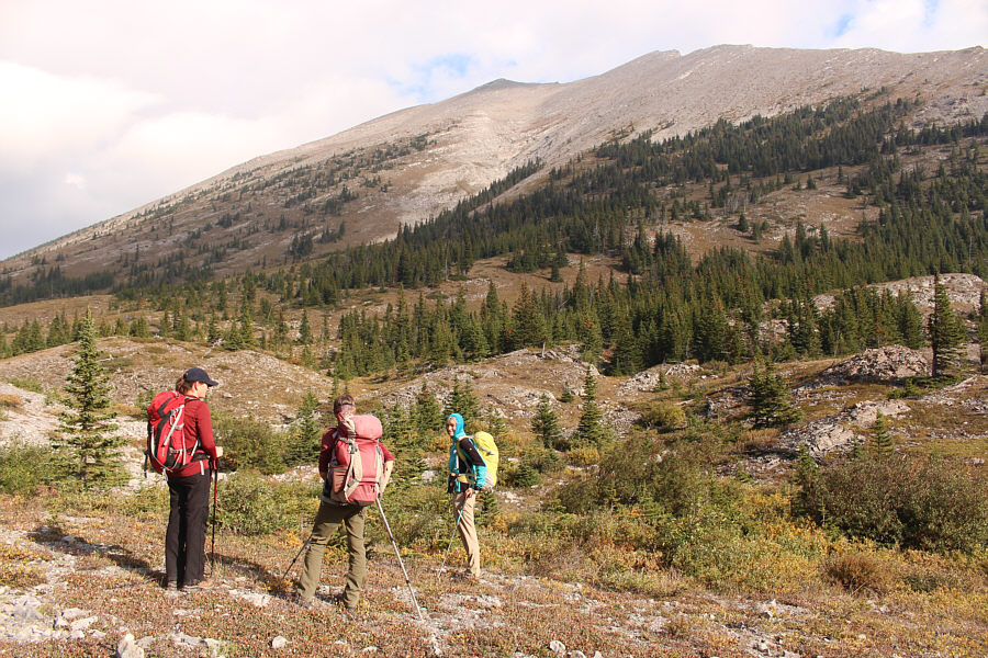 The obvious gully is not the best choice both going up and coming down...
