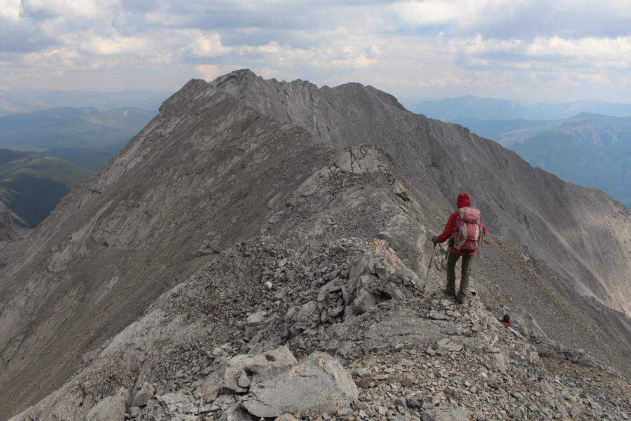 Zosia looks like shes game for the challenge!