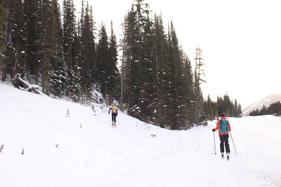 Feels good to be skiing again after a long layoff!