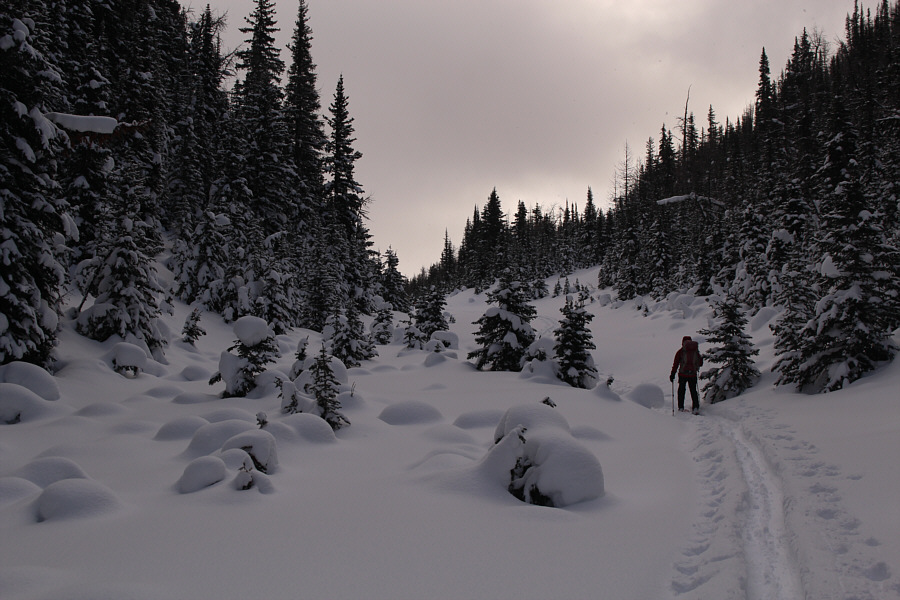 I hope we're going in the right direction!