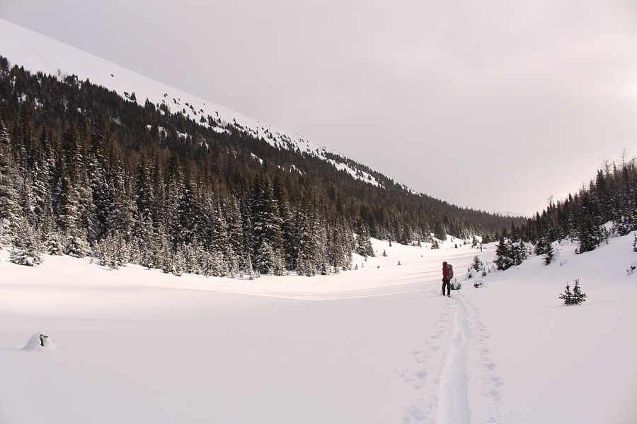 Well, this was a pleasant surprise!