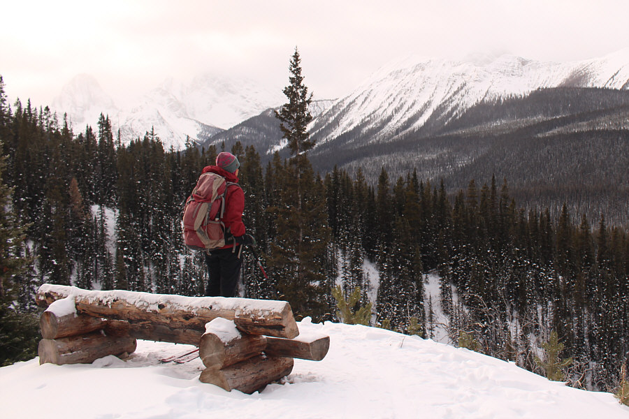 A good place to contemplate whether its worth continuing with skis!
