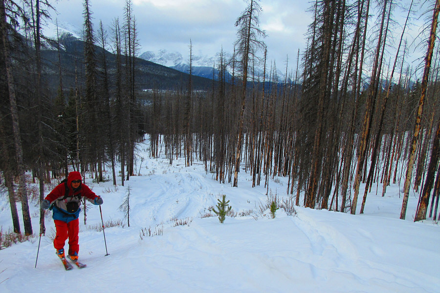 Need a couple more big dumps of snow here!