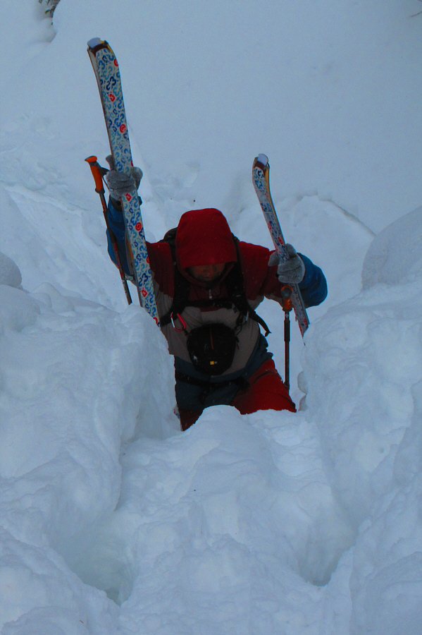 Looks like fun, doesn't it?