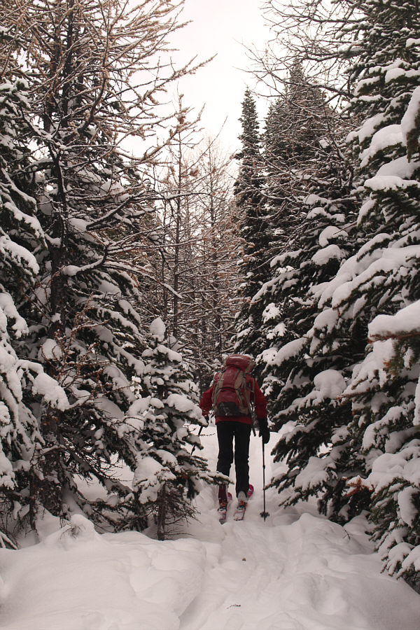 Still a lot of climbing left, but you can put your route-finding on cruise control here.