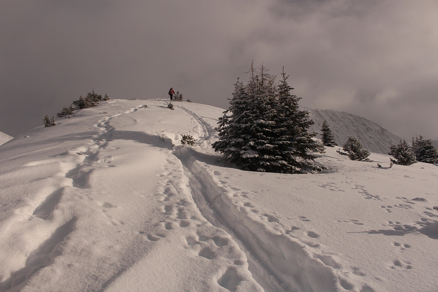 And the sun is coming out--what perfect timing!