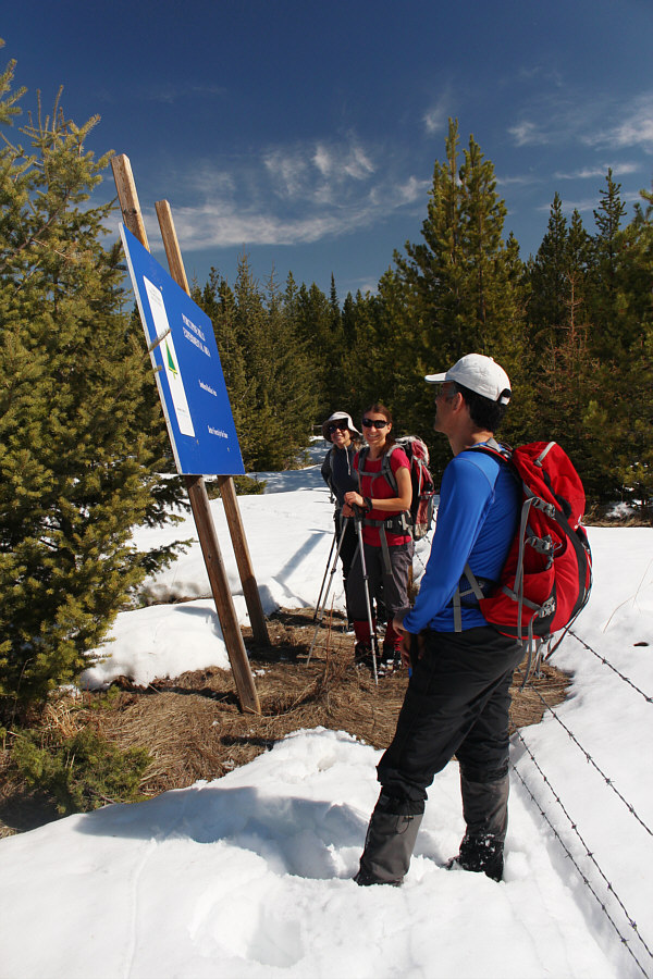 Maybe we're part of the experiment...