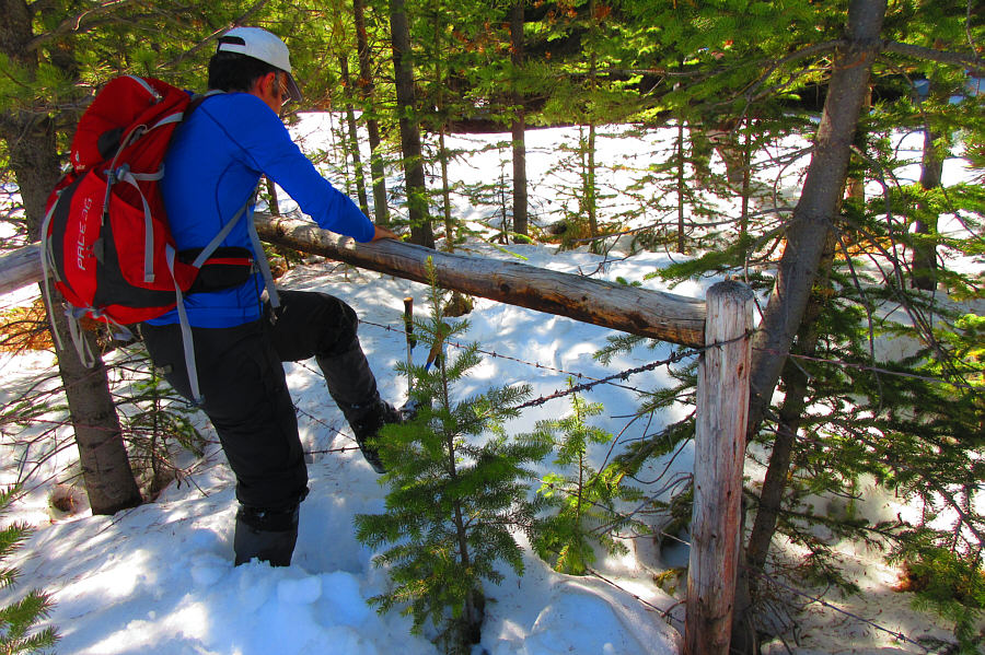 There aren't any "No Trespassing" signs here, so I think this is okay...