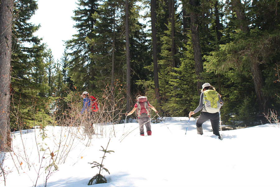 It's a shame we didn't ski this!