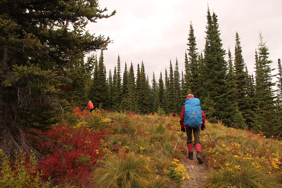 We're not quite done with the switchbacks just yet...