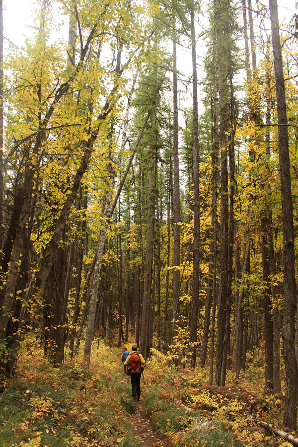 Yellow is Marta's favourite colour!