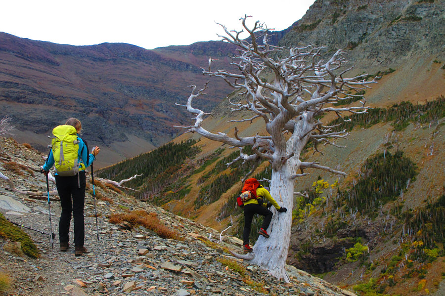 What is that? About a 5.10 or 5.11?