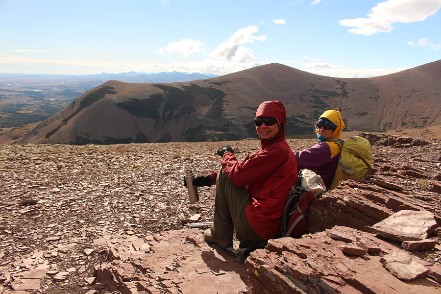 Does it look like a sleeping Bison?