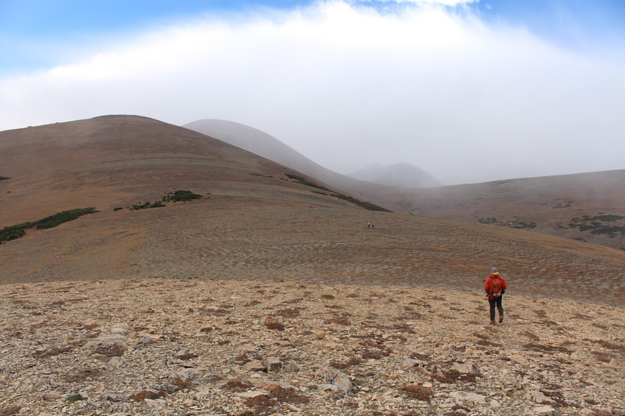 Batten down the hatches!