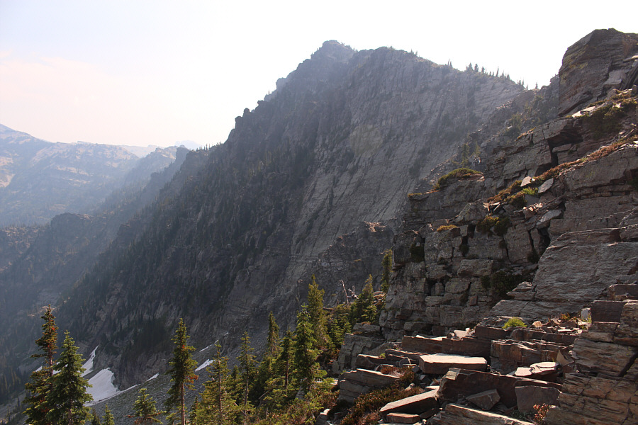 Wow! I wasn't expecting this!