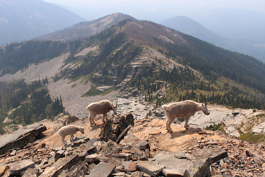 Damn! I thought they were gonna show us the easy route to the third bump!