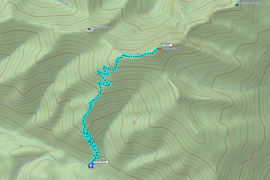 Wanna see mountain goats? Come here!