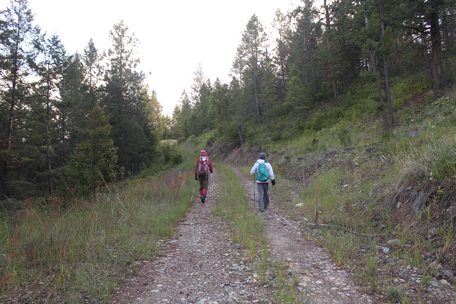 Leslie could probably run up this road in her sleep!